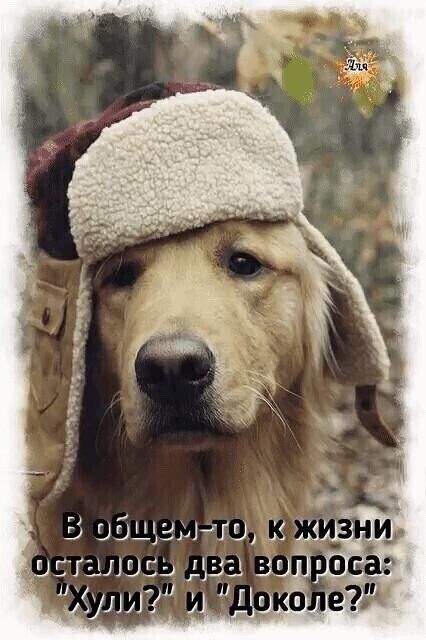 Ь ибщажш у гшшпц душ в Они