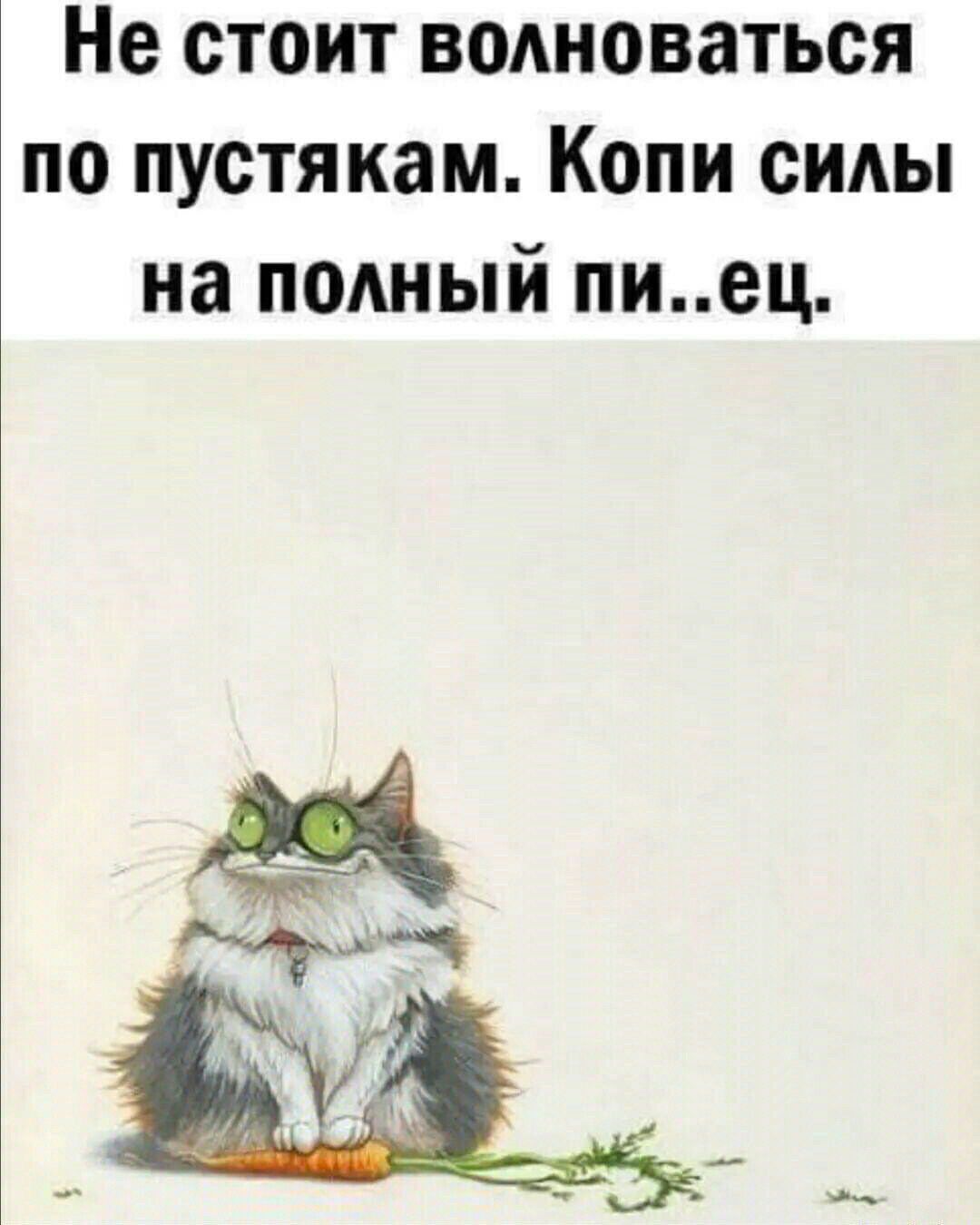 Не стоит воАноваться по пустякам Копи силы на полный пиец
