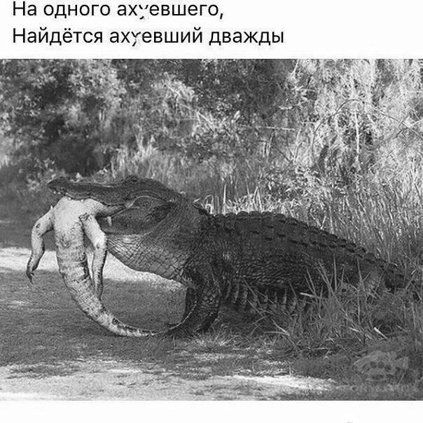 На одного ахуевшего Найдётся ахуевший дважды