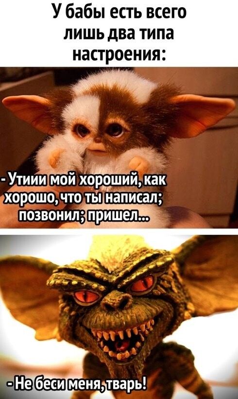 У бабы есть всего лишь два типа настроения ___ У тиийГЁй хороший как хорошочто тьп написал Не гнал менщварь