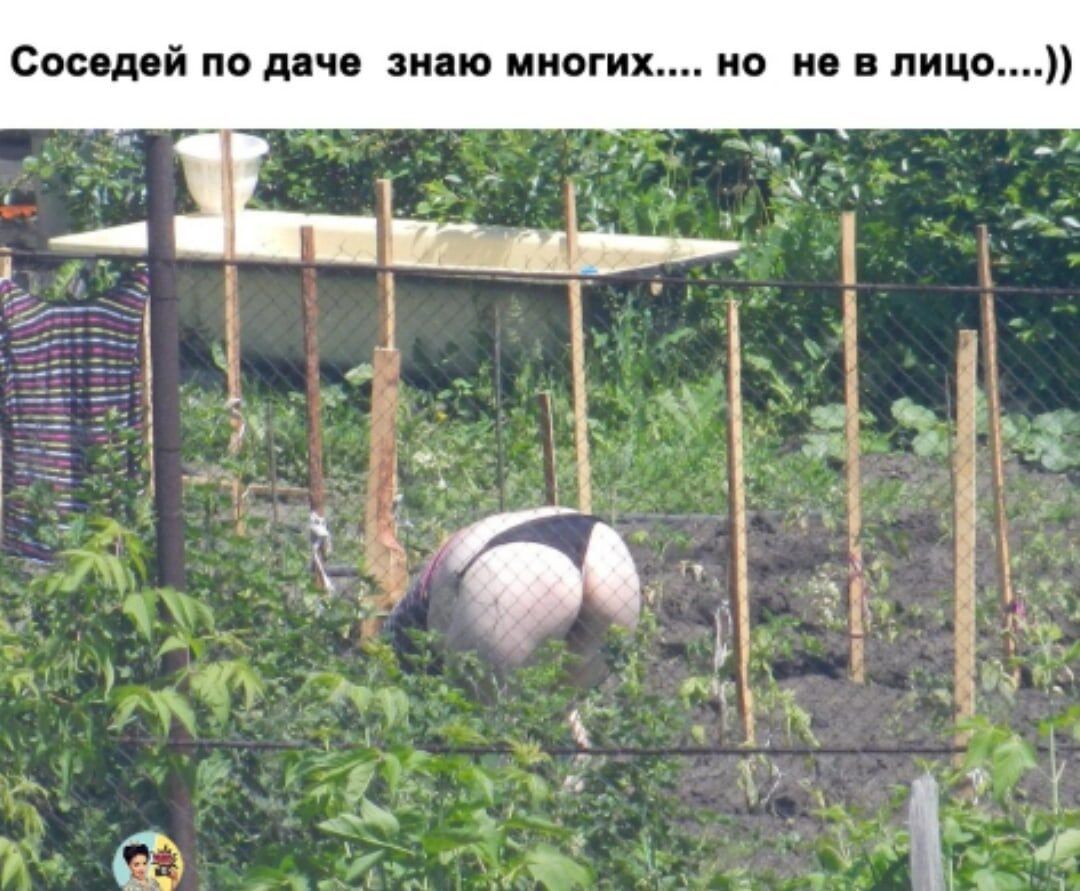 Стой по гич аияю многих но и лицо