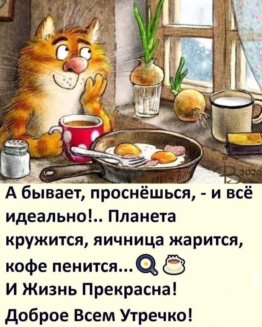 А бывает проснёшься и всё идеально Планета кружится яичница жарится кофе пенится И Жизнь Прекрасна доброе Всем Утречко