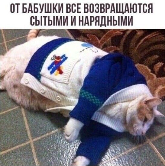 ПТ БАБУШКИ ВСЕ ВПЗБРАЩАЮТЕН ЕЫТЫМИ И НАРЯЦНЫМИ