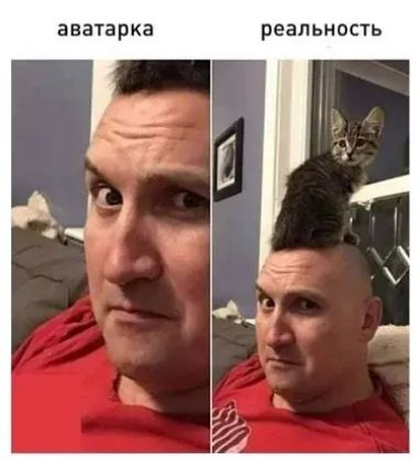 аватарка реальность