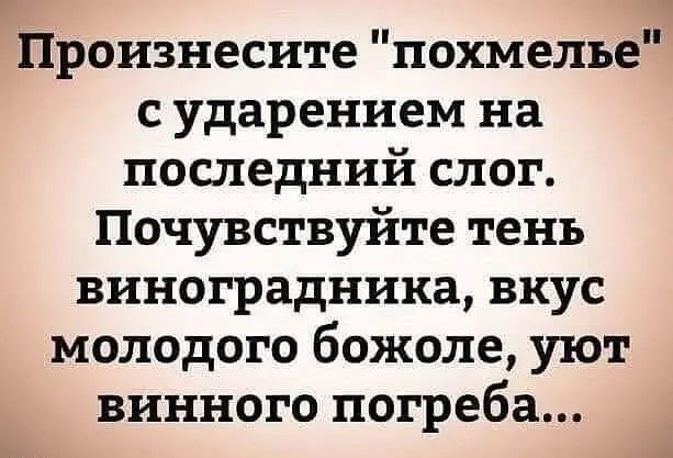 г Произнесите похмелье с ударением на последний слог Почувствуйте тень виноградника вкус молодого божоле уют винного погреба А