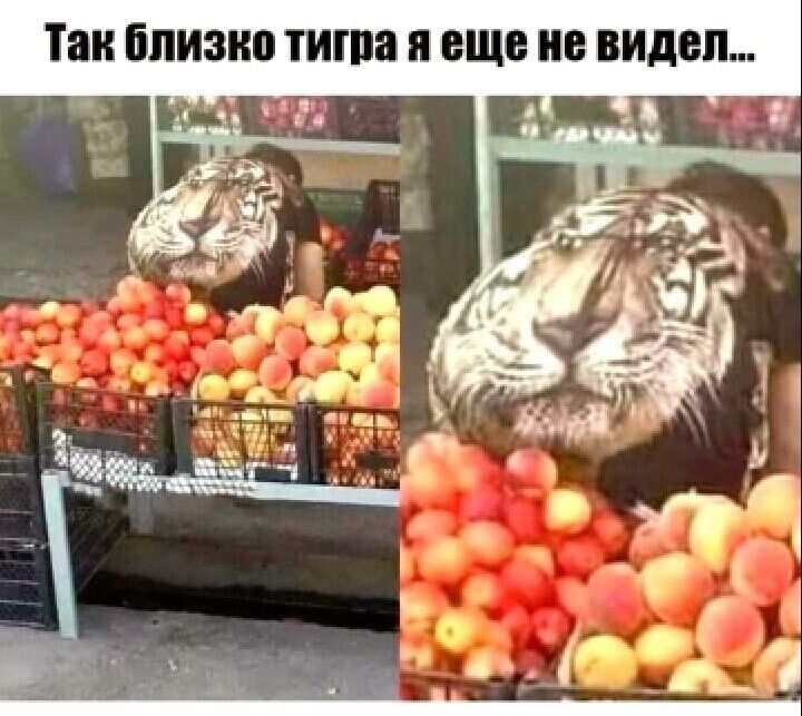 п Е д и в В и В Ш В Я 8 Ш и 0 к 3 м и В