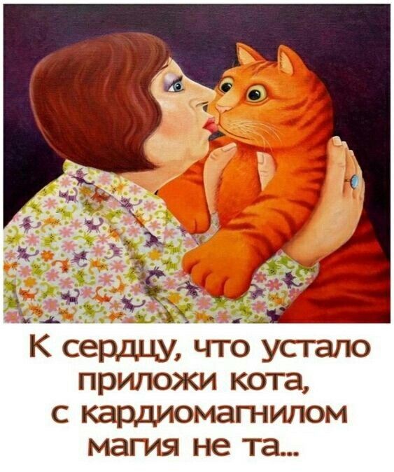 К сердцу что устало приложи кота с кардиомагнипом магия не та