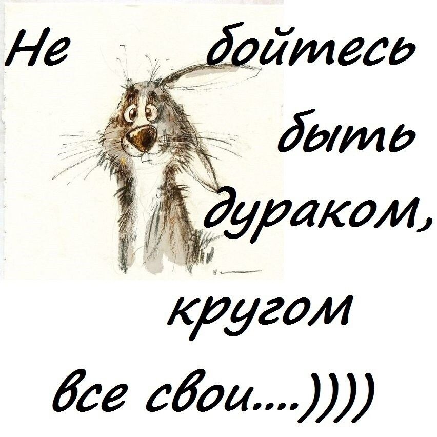бсе сбоир