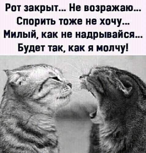 Рот закрыт Не возражаю Спорить тоже не хочу Милый как не иадрывайся Будет так как я молчу