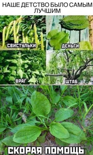 НАШЕ ДЕТСТВО БЫЛО САМЫМ в _п А 1 а кдгдяаіпіімпйів