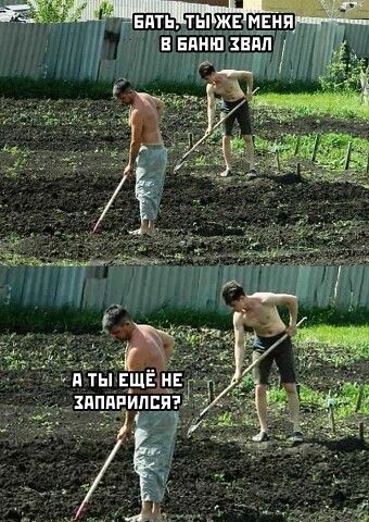 щиты щёд _здпя ит