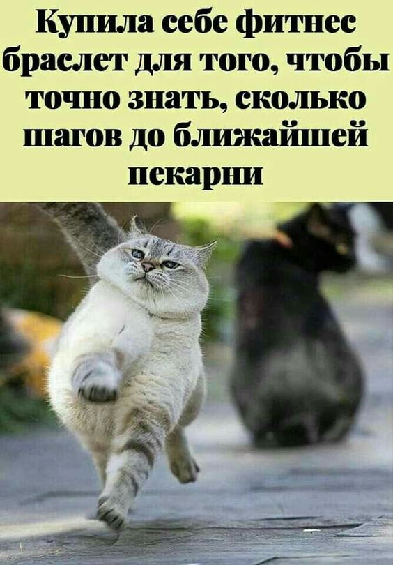 Купила себе фитнес браслет для того чтобы точно знать сколько шагов до ближаіппей пекарни