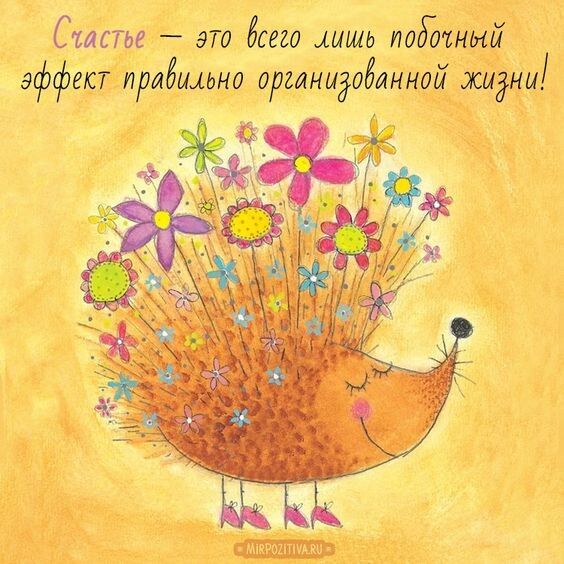Статье это бит шшь пддЪшый эффект прибыльно оргимидобамной мидии
