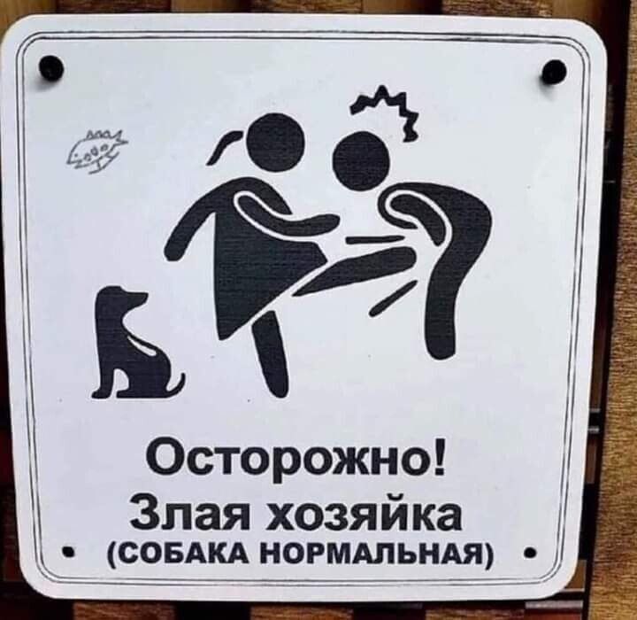 55 г д Осторожно Злая хозяйка станд нормтьнш д