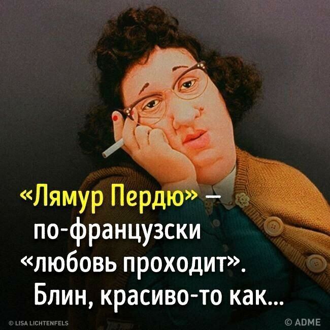 Лямур Перд по французски любовь проходит Блин красиво то как