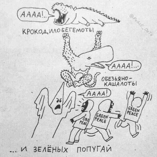 двезьяна КАЩААОТЫ