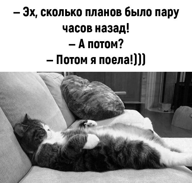 3х сколько планов было пару часов назад А потом Потом я тем