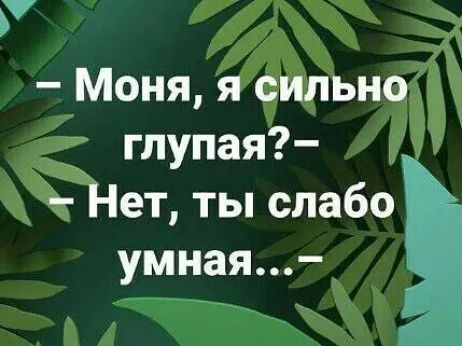 ъ Моня я сильно глупая Нет ты слабо умная