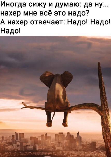 Иногда сижу и думаю да ну нахер мне всё это надо нахер отвечает Надо Надо Надо