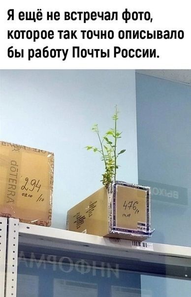 Я ещё не встречал фото которое так точно описывали бы работу Почты России