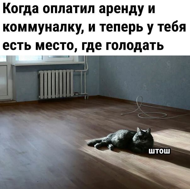 Когда оплатил аренду и коммуналку и теперь у тебя есть место где голодать г