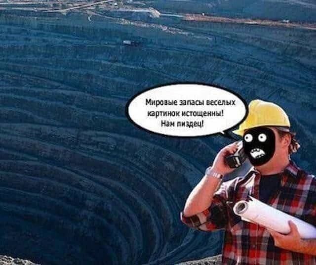 д мвчьмы дщ