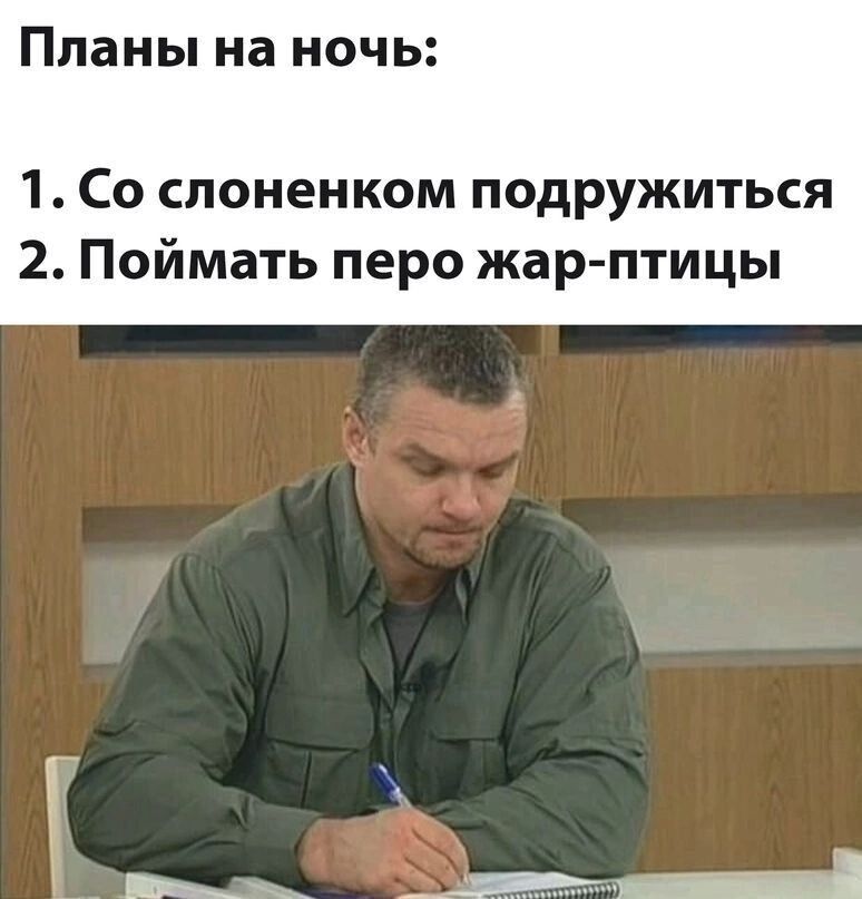 Планы на ночь 1 Со споненком подружиться 2 Поймать перо жарптицы