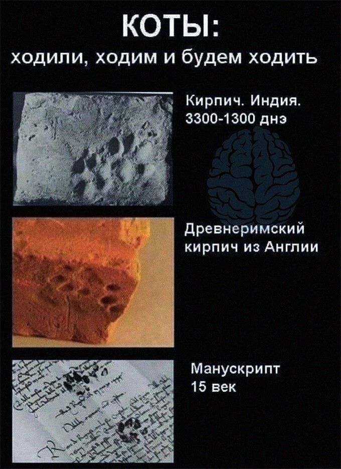 КОТЫ ХОДИЛИ ХОДИМ И будем ХОДИТЬ д Кирпич Индиж 3300 1300 дн древнеримский кирпич и Англии Манускрипт 15 век