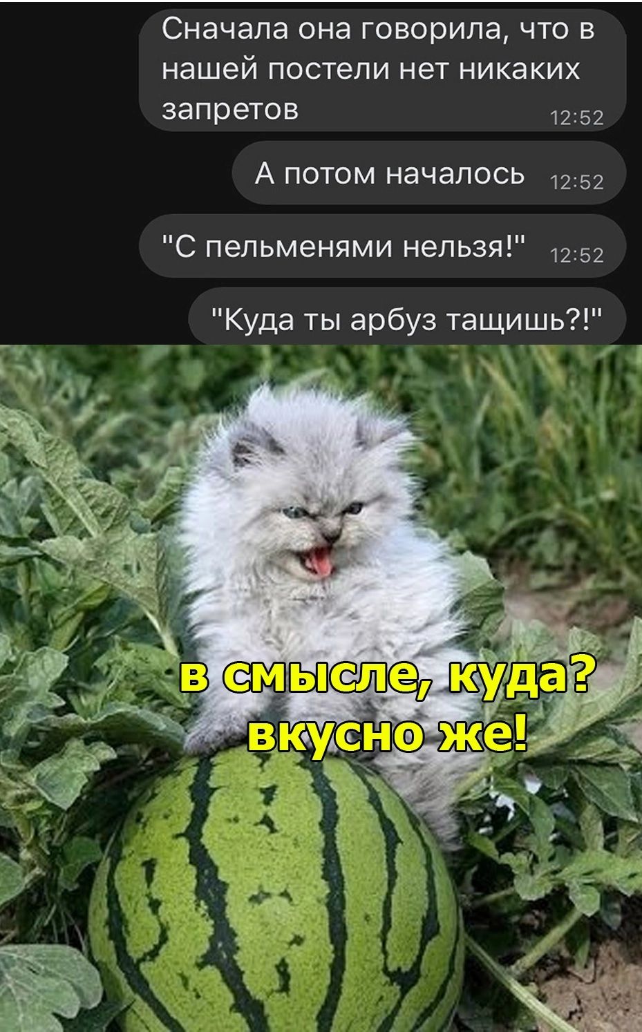 Сначала она говорила что в нашей постели нет никаких запретов 52 А потом началось 52 С пельменями нельзя 52 Куда ты арбуз тащишь