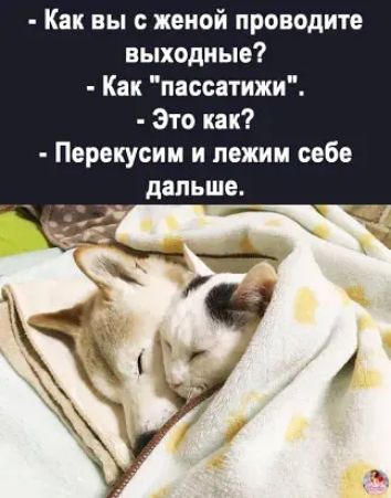 Как вы с женой проводите выходные Как пассатижи Это как Перекусим и лежим себе дальше