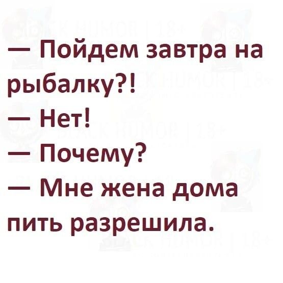 Пойдем завтра на рыбалку Нет Почему Мне жена дома пить разрешила