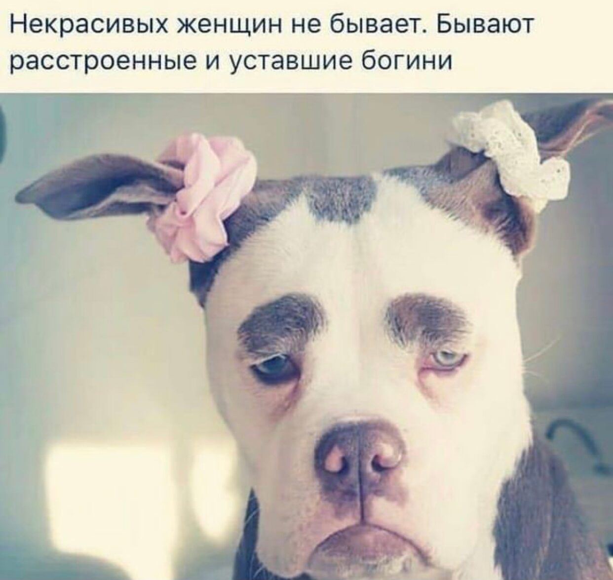 Некрасивых женщин не бывает Бывают расстроенные и уставшие богини Ь