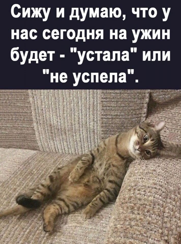 Сижу и думаю что у нас сегодня на ужин будет устала или не успела