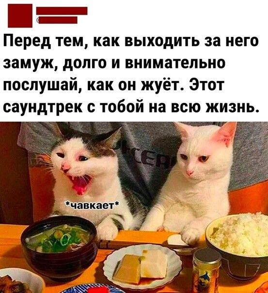 _ Перед тем как выходить за него замуж долго и внимательно послушай как он жуёт Этот саундтрек с тобой на всю жизнь