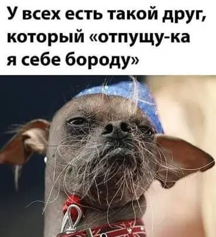 У всех есть та кой друг который отпущу ка я себе бороду