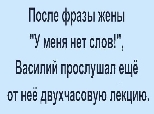 После фразы жены У меня нет слов Василий прослушал ещё от неё двухчасовую лекцию