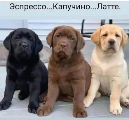 ЭспрессоКапучиноПа1 ге