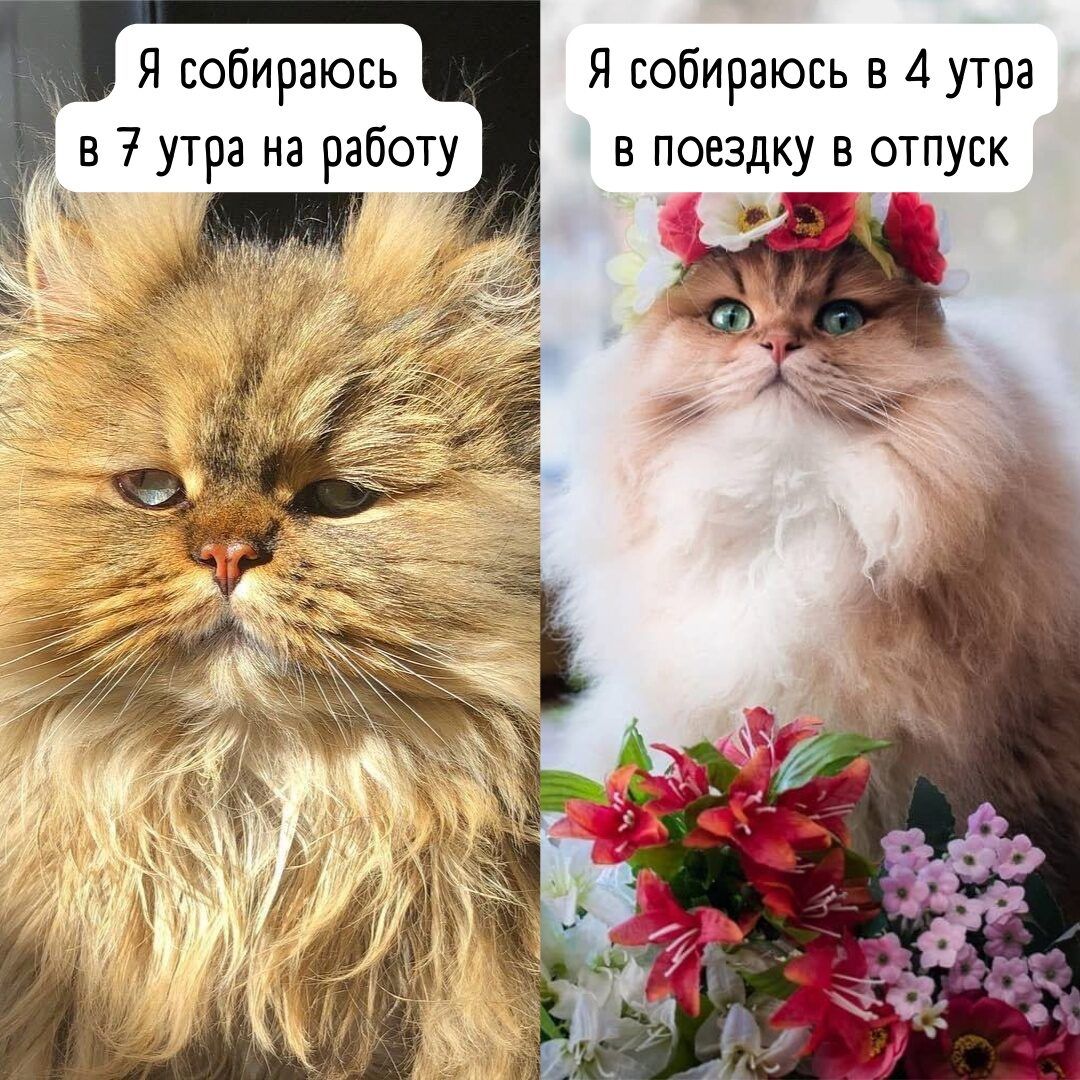 Я собираюсь в утра на работу Я собираюсь в 4 утра в поездку в отпуск