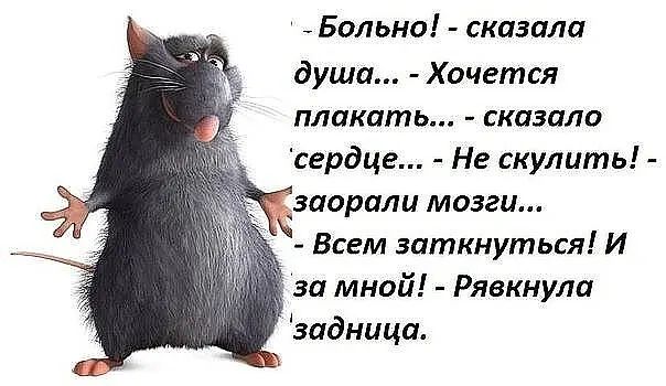 _ Больна сказала души Хочется плакать сказало сердце Нг скулить эаорали мозги Всем зпткнуться И за мной Рязкнули задница