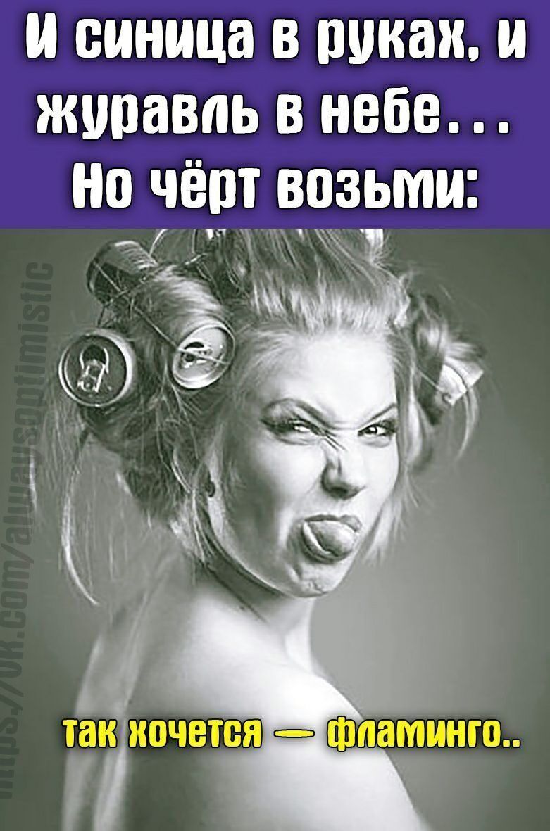 и синица в пикап жопавпь в небе нп чёрт врзьми