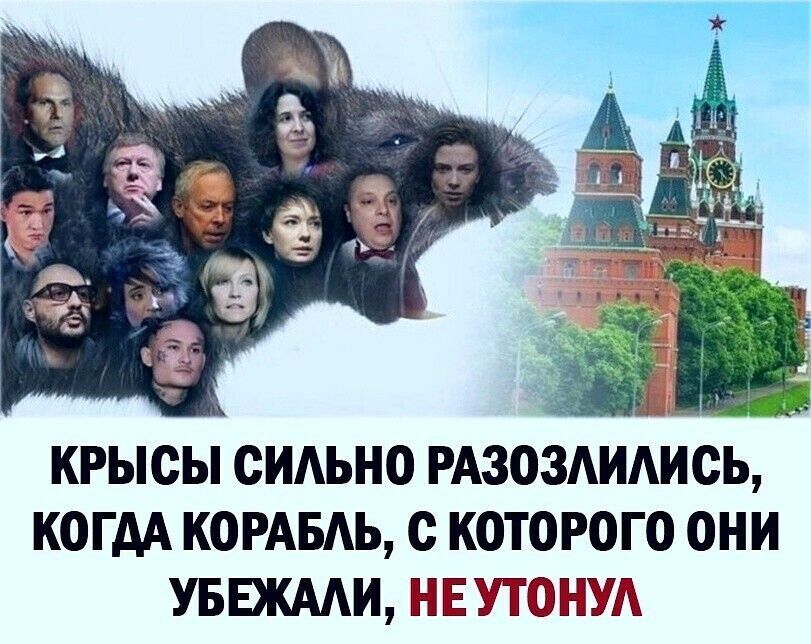 КРЫСЫ ОИАЬНО РАЗОЗАИШСЬ КОГДА КОРАБАЬ с К0Т0РОГ0 ОНИ УБЕЖААИ ЕУТОНУА