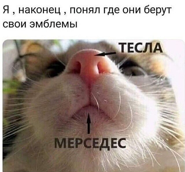 Я наконец поняп где они берут свои эмблемы