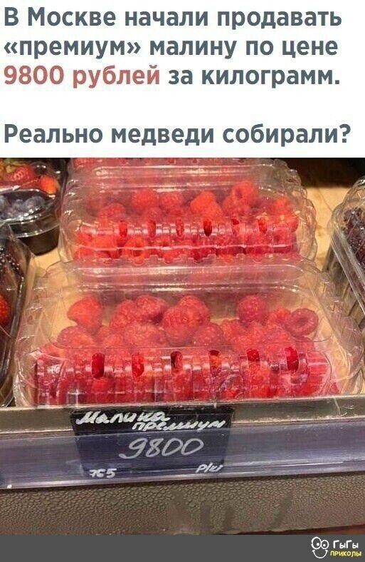 В Москве начали продавать премиум малину по цене 9800 рублей за килограмм Реально медведи собирали