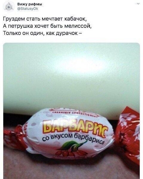 вижу РИФ Груздем стать мешает кабачок А петрушка хочет быть мелиссой Только он один как дурачок