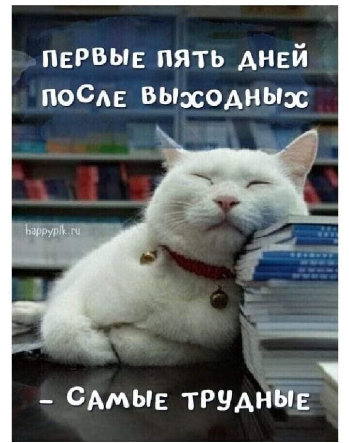пврвын пять ДНЕЙ пост ВЫаСОАНЫзс САМЫЕ труАНЁТЁ
