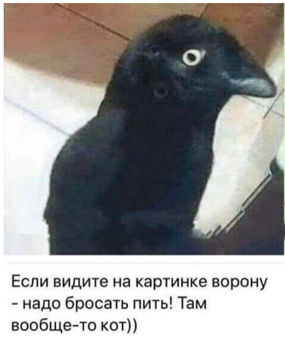 Еспи видите на картинке ворону надо бросать пить Там вообщето кат
