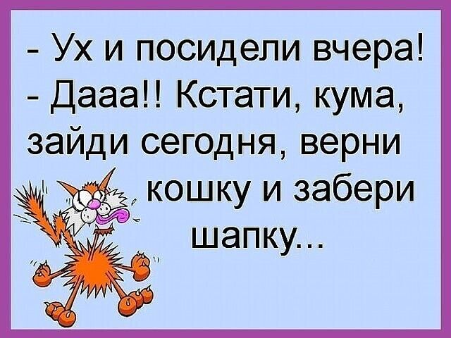 Ух и посидели вчера ДаааН Кстати кума зайди сегодня верни кошку и забери ч 7 2