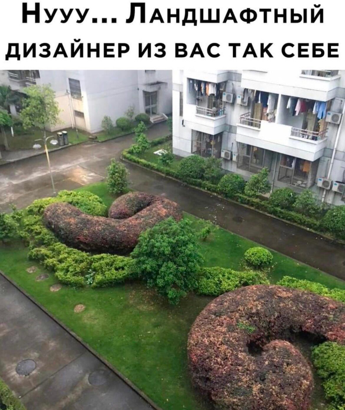 Нууу ЛАНДШАФТНЫЙ диздйнвр из ВАС ТАК СЕБЕ