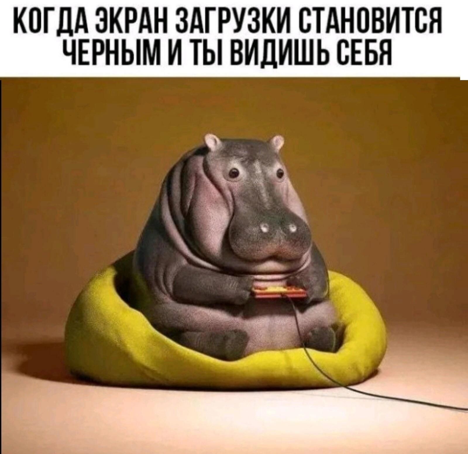 КОГДА ЭКРАН ЗАГРУЗКИ СТАНОВИТСЯ ЧЕРНЫМ И ТЫ ВИДИШЬ СЕБЯ 9 Фа Ъ и _