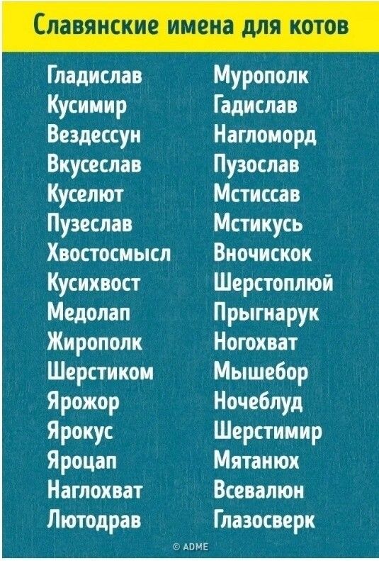 Славянские имена для котов Гпадислав Муропопк Кушнир Гадиспав Вездессуи Нагпоиорд Вкусеспав Пузослав Куселют Мстиссав Пузеслав Мстикусь Хвостосиысл Виочискок Кусихвост Шерстоппюй Медопап Прыгиарук Жиропопк Ногохпт Шерстикои Мышебор Ярожор Ночеблуд Ярокус Шерстииир Яроцап Мятаиюх Нагпохват Всевапюи Лютодрав Глазосверк